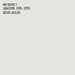 #E4E4E1 - Bon Jour Color Image
